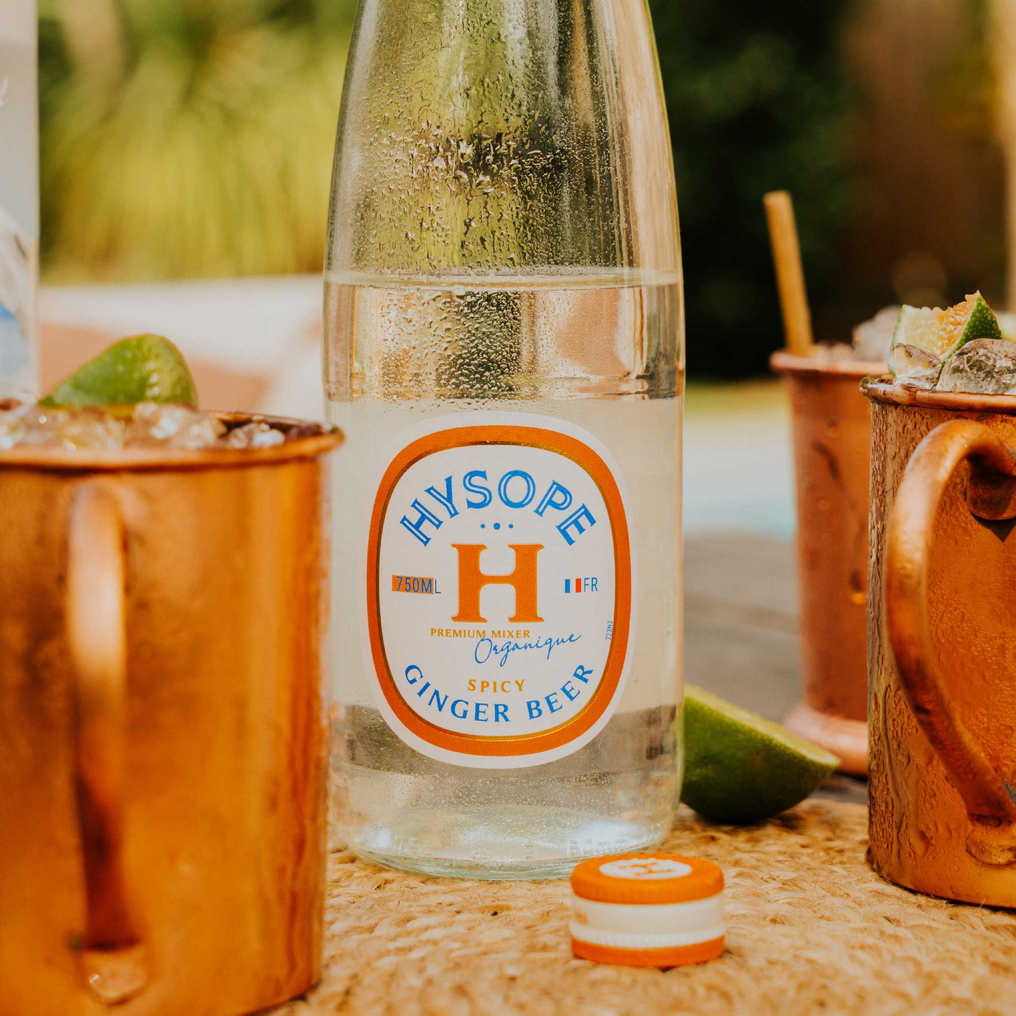 hysope premium mixers français bio ginger beer spicy moscow mule