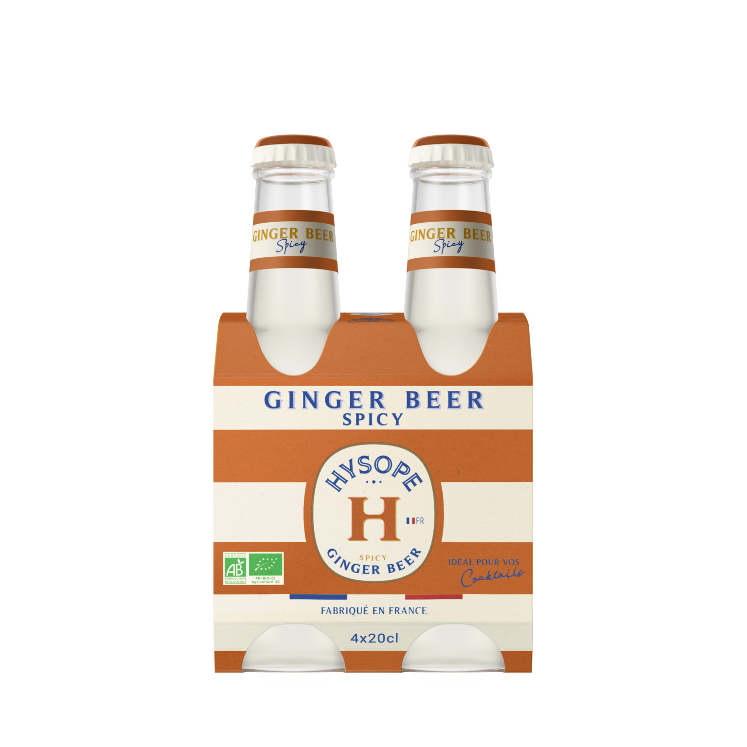 Hysope Ginger Beer Spicy 4x20cl
