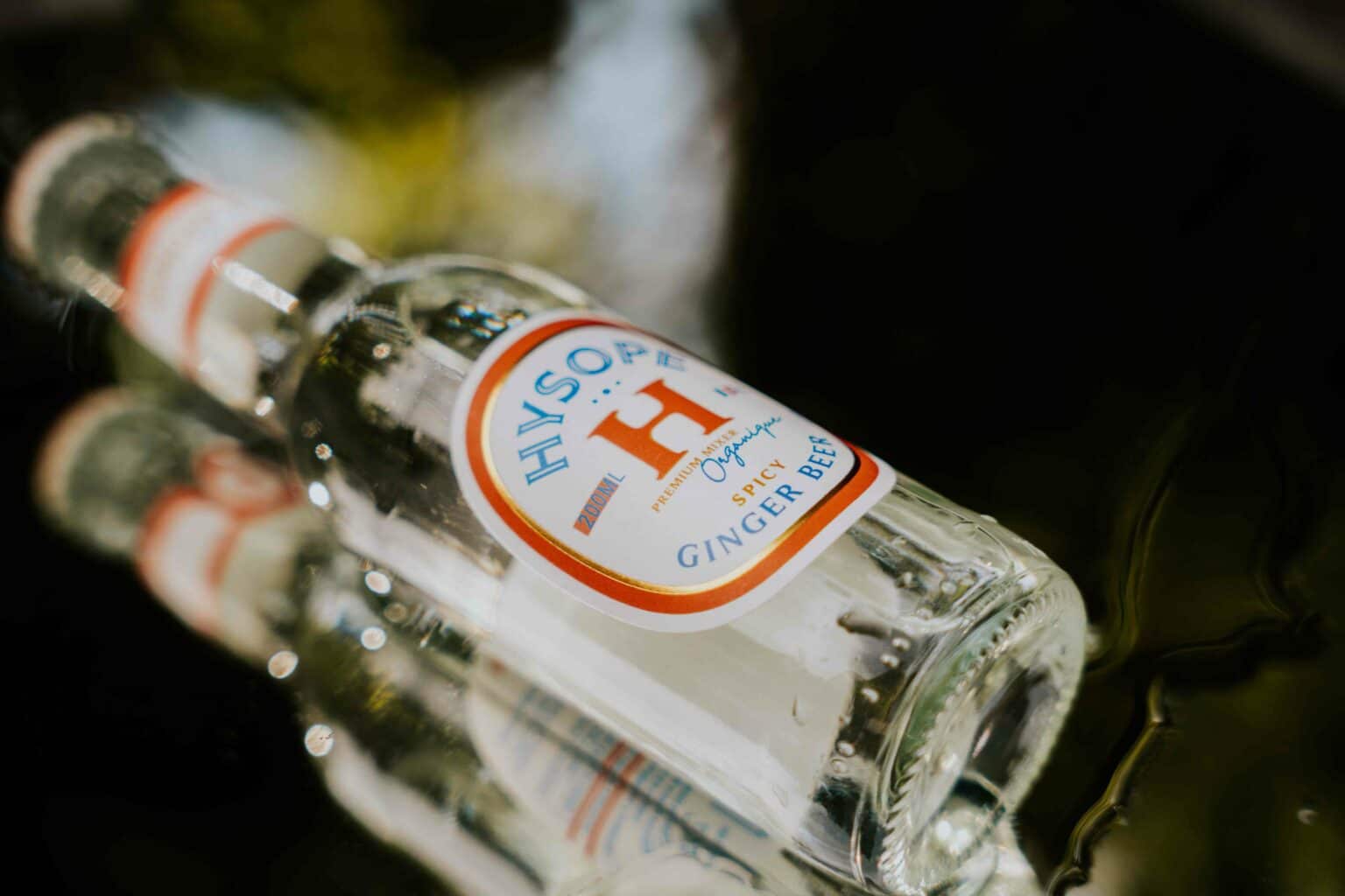 bouteille de Ginger Beer Spicy Hysope
