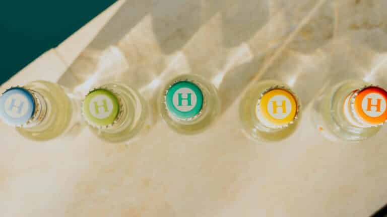 hysope premium mixers français tonic gamme tonics et ginger beer spicy