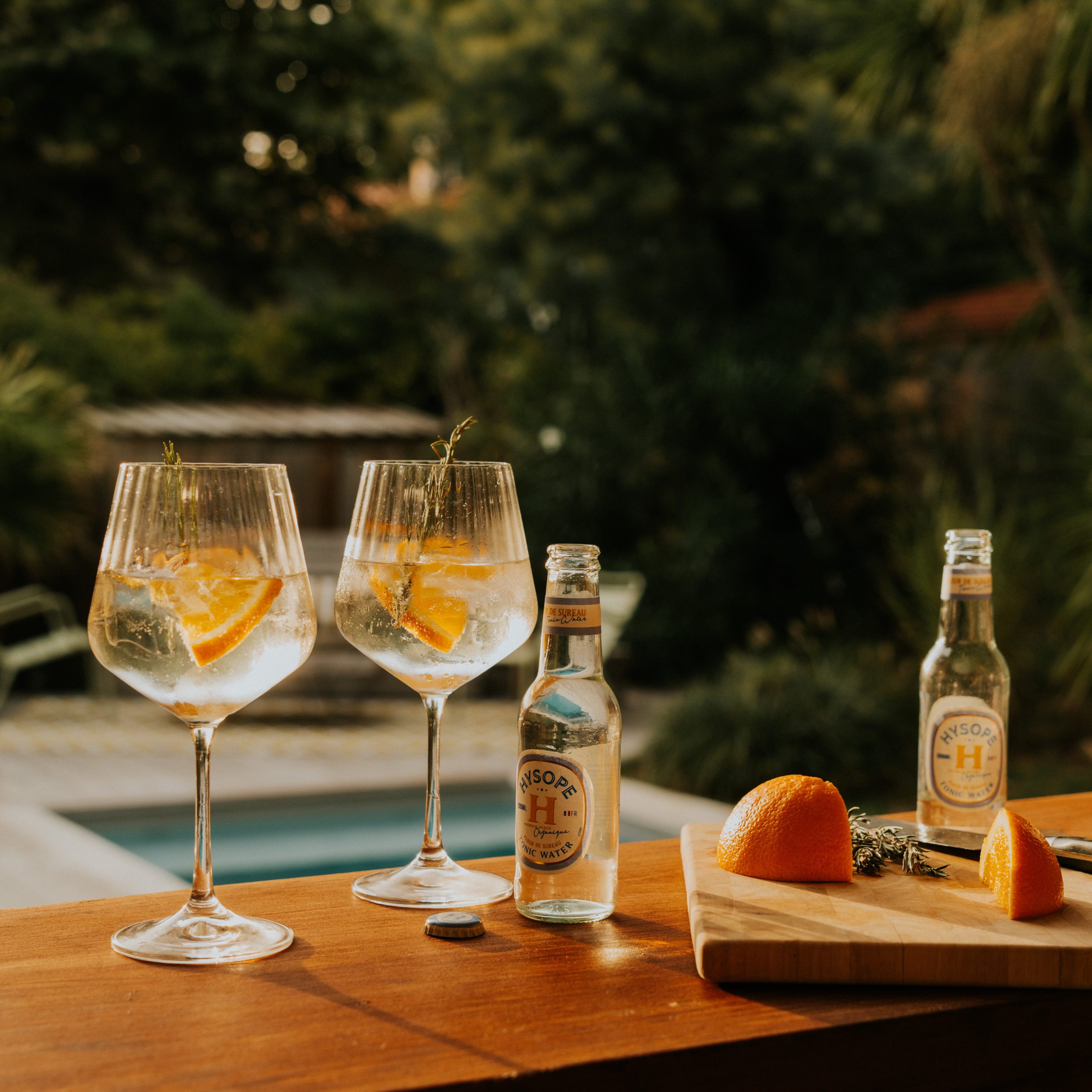 Gin Tonic Sureau avec le tonic water fleur de sureau Hysope