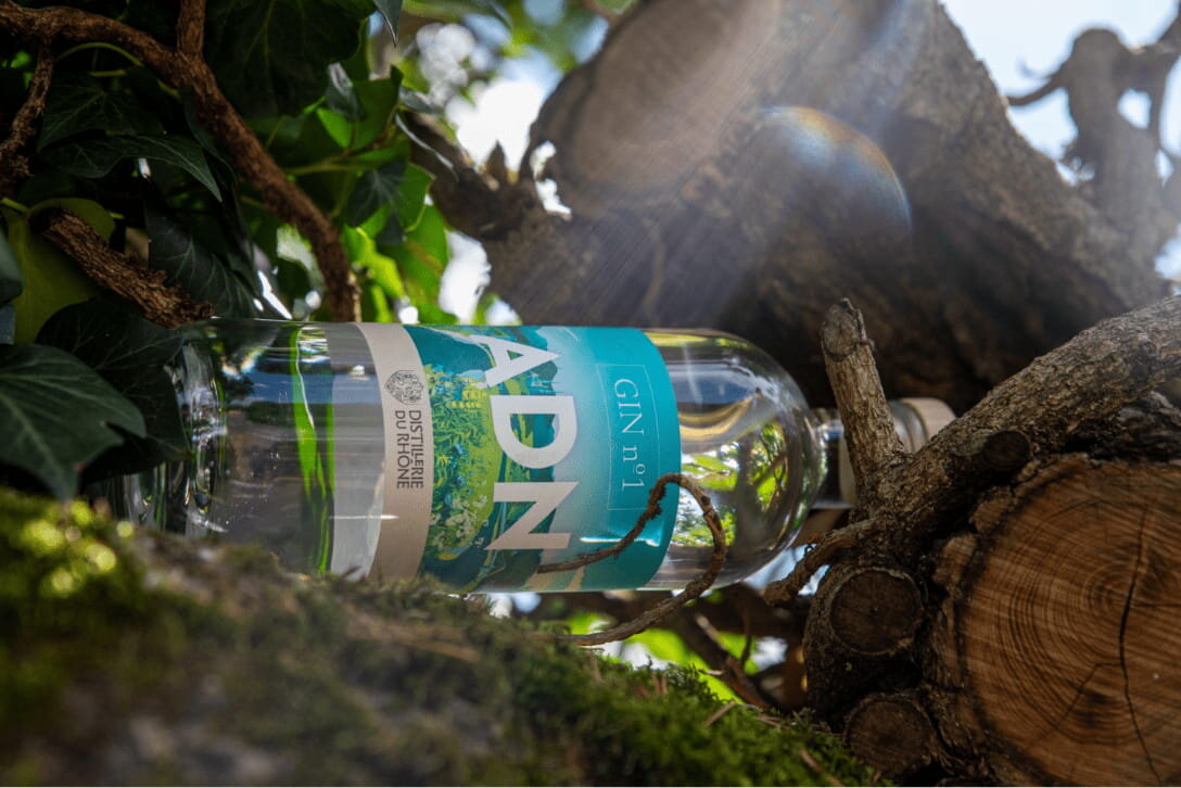 distillerie_du_rhone_cuvee_adn_1_nature_arbre-min.jpg
