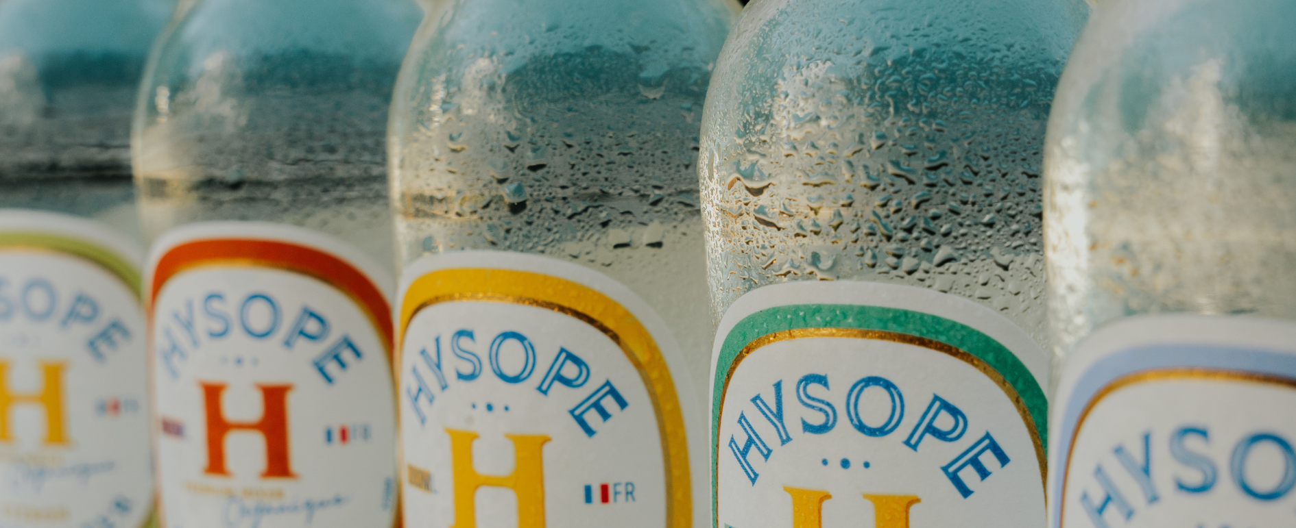 gamme complète des tonics et ginger beer