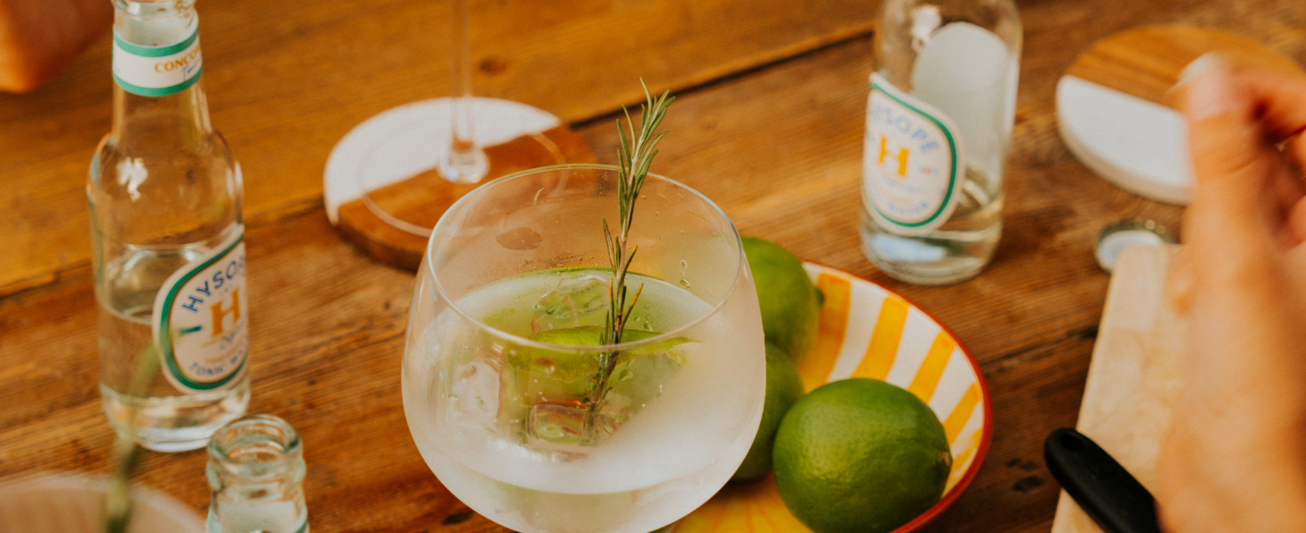 Un Gin Tonic Concombre au Tonic Water Concombre Hysope