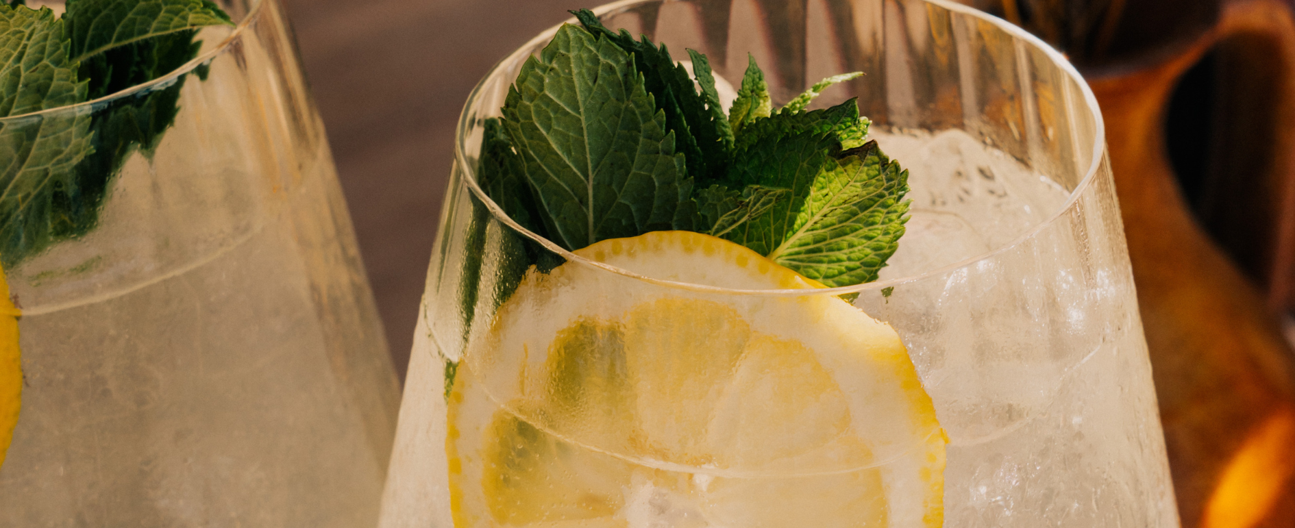 Verre de Gin Tonic avec une rondelle de citron et des feuilles de menthe. 