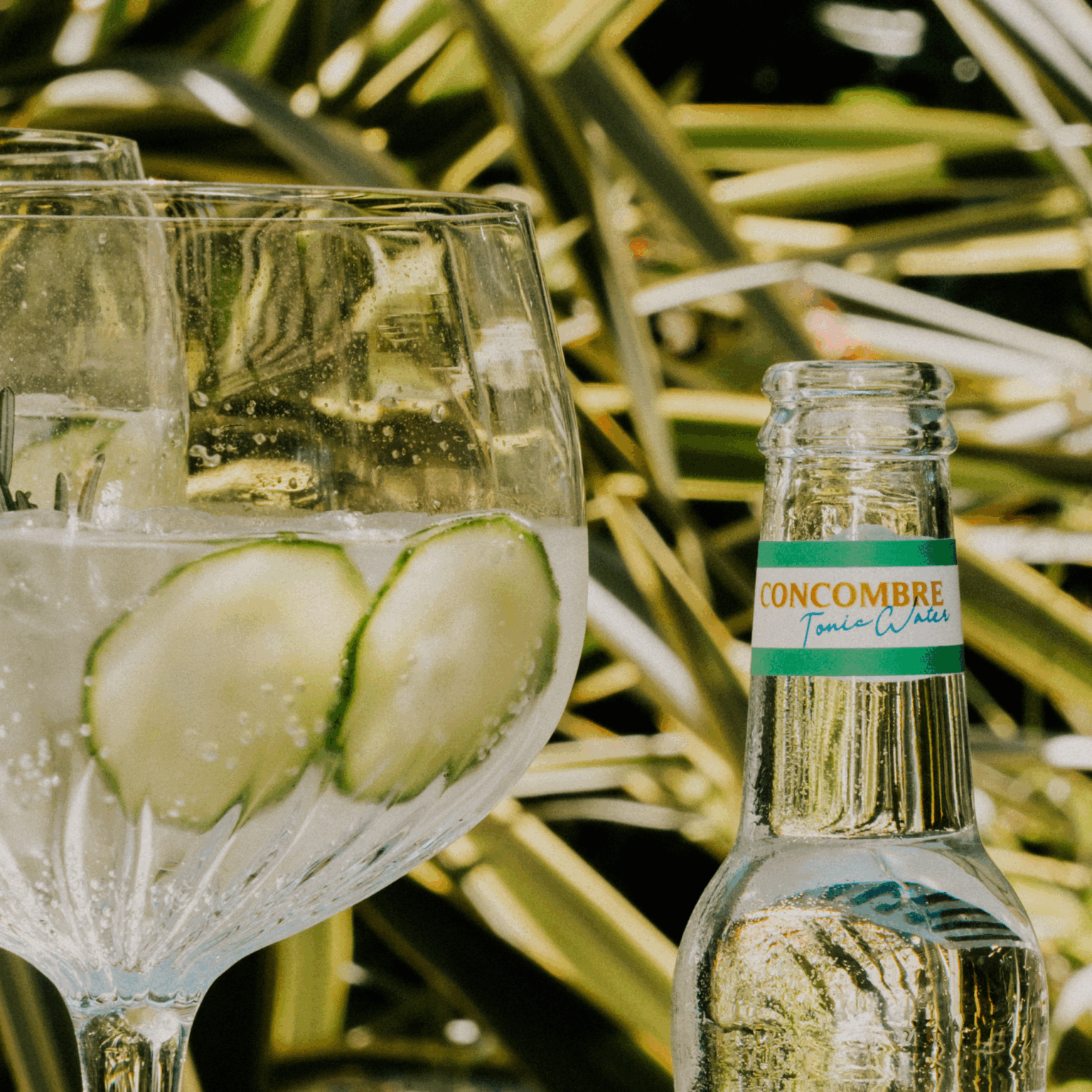 Un Gin Tonic super rafraichissant à base de Tonic Water Concombre Hysope