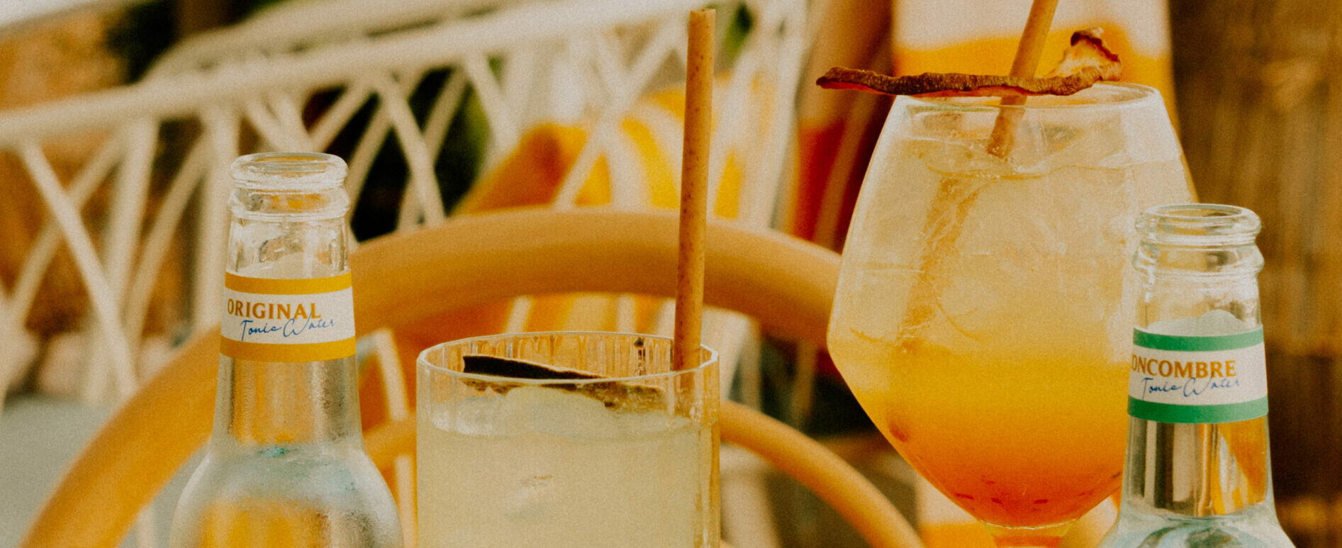 Deux cocktails avec des garnish de fruits séchés et deux bouteilles de tonics