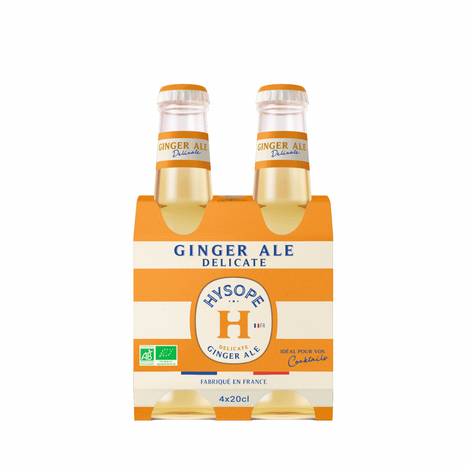 Cluster de 4 bouteilles Ginger Ale Delicate Hysope