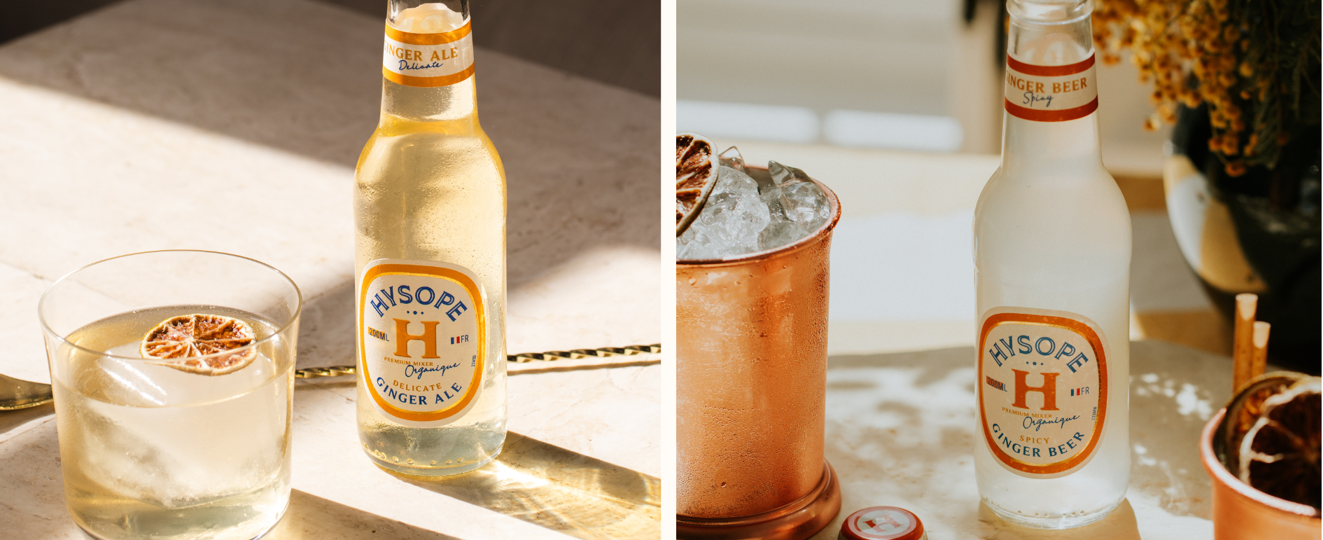 Ginger Ale vs Ginger Beer, quelle différence ?