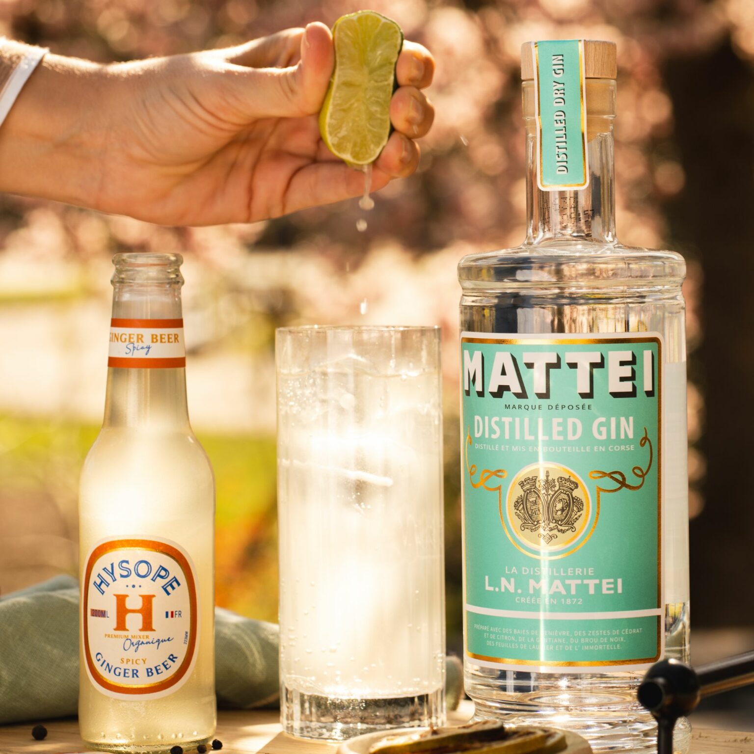 Le Corsican Mule, un cocktail frais à base de Gin Corse et de Ginger Beer Spicy Hysope