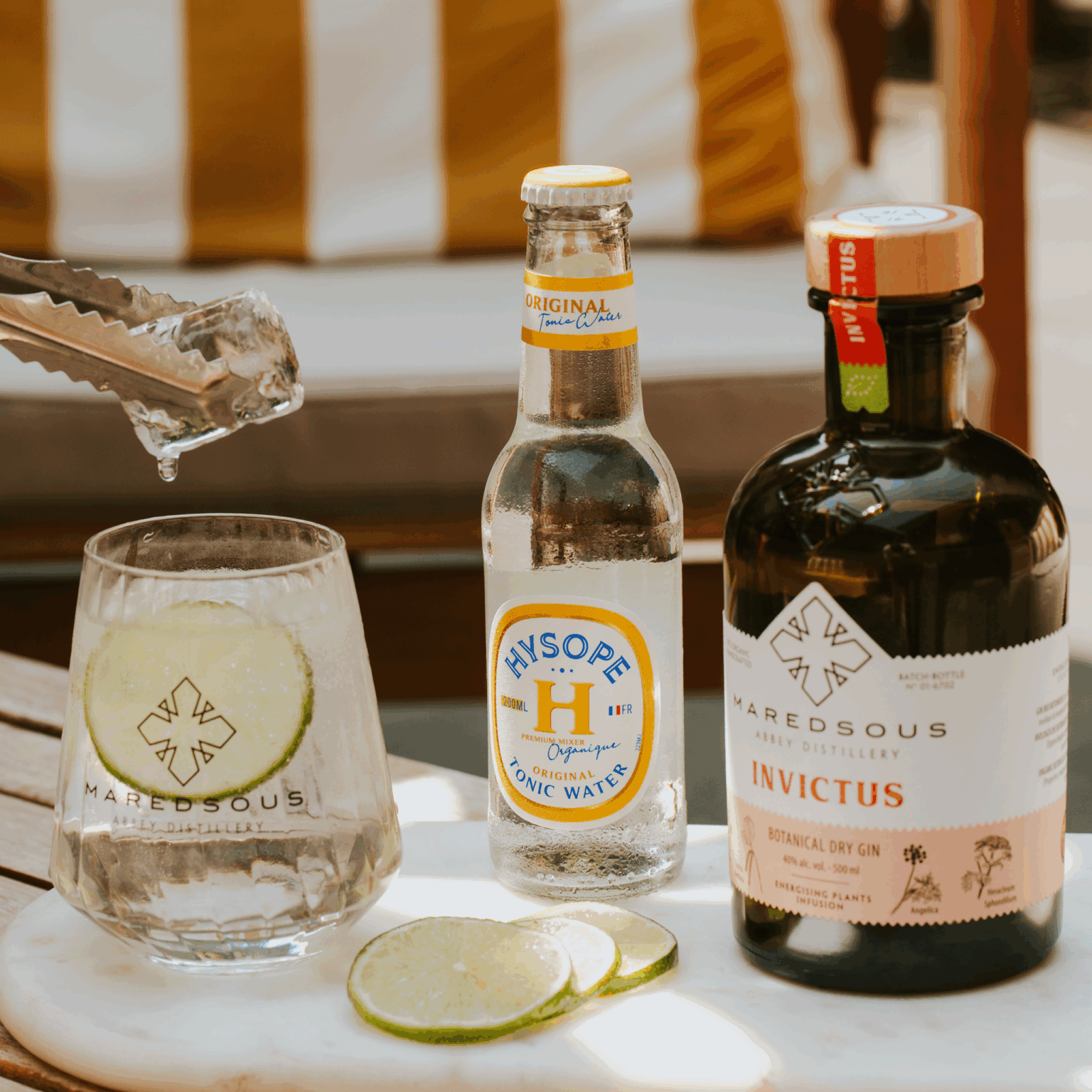 Invictus Gin Tonic : un gin tonic frais infusé aux plantes énergisantes
