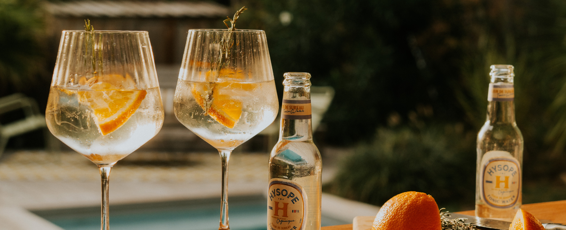 Tonics Hysope : nos différences, nos ingrédients, nos recettes