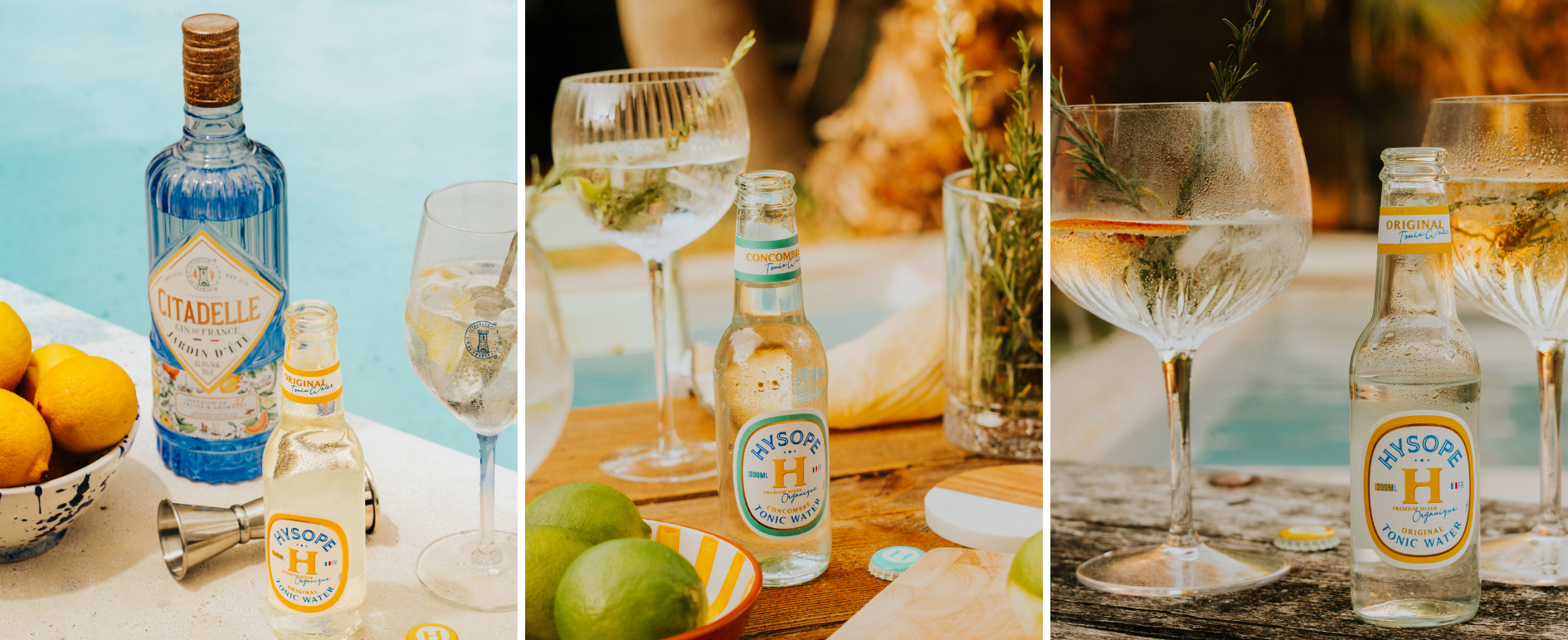 Tonics Hysope - Gin Tonic - Tonics Premium