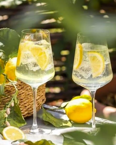 spritz méditerranéen riviera spritz tonic water méditerranéen basilic thym romarin