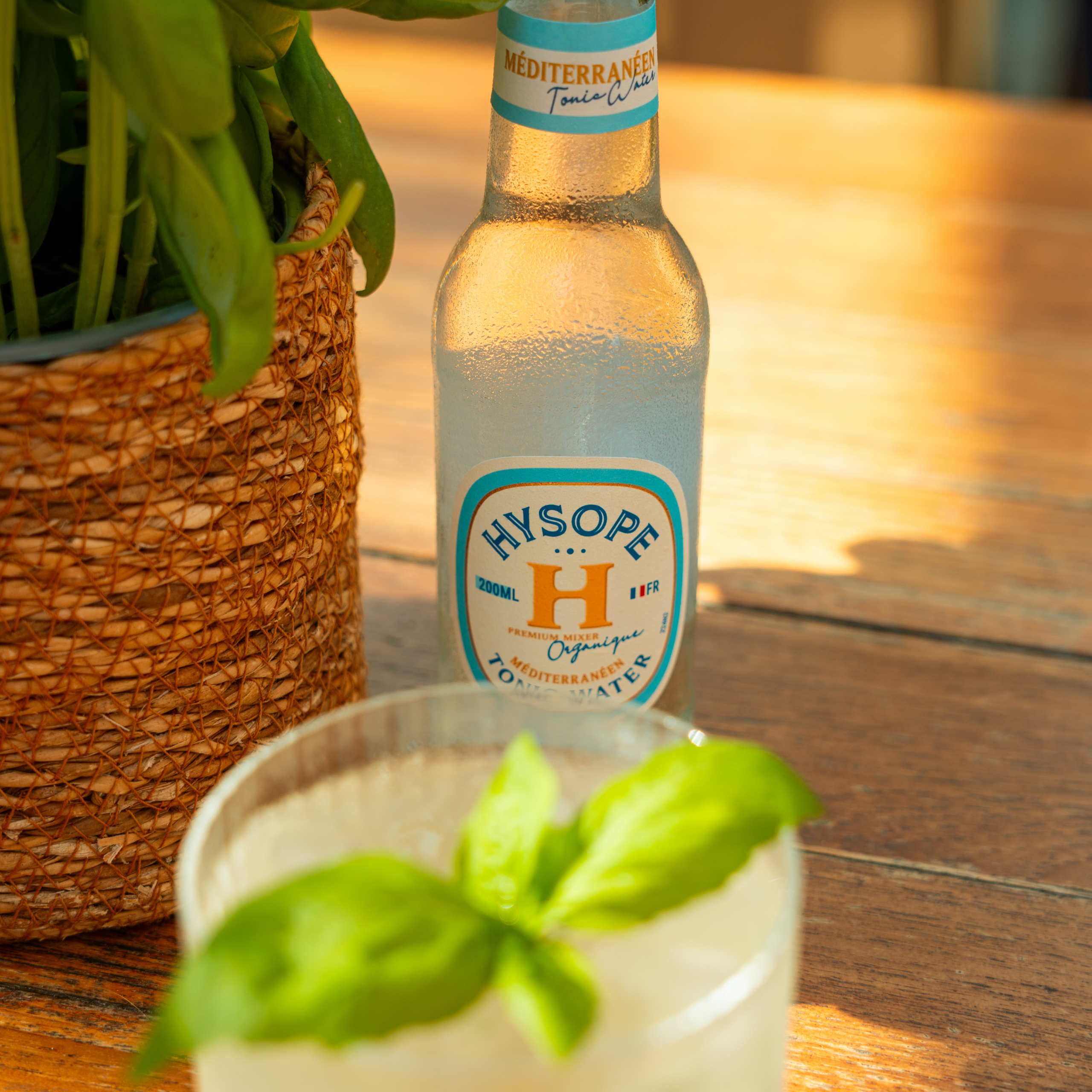 basil smash méditerranéen hysope recette bio français