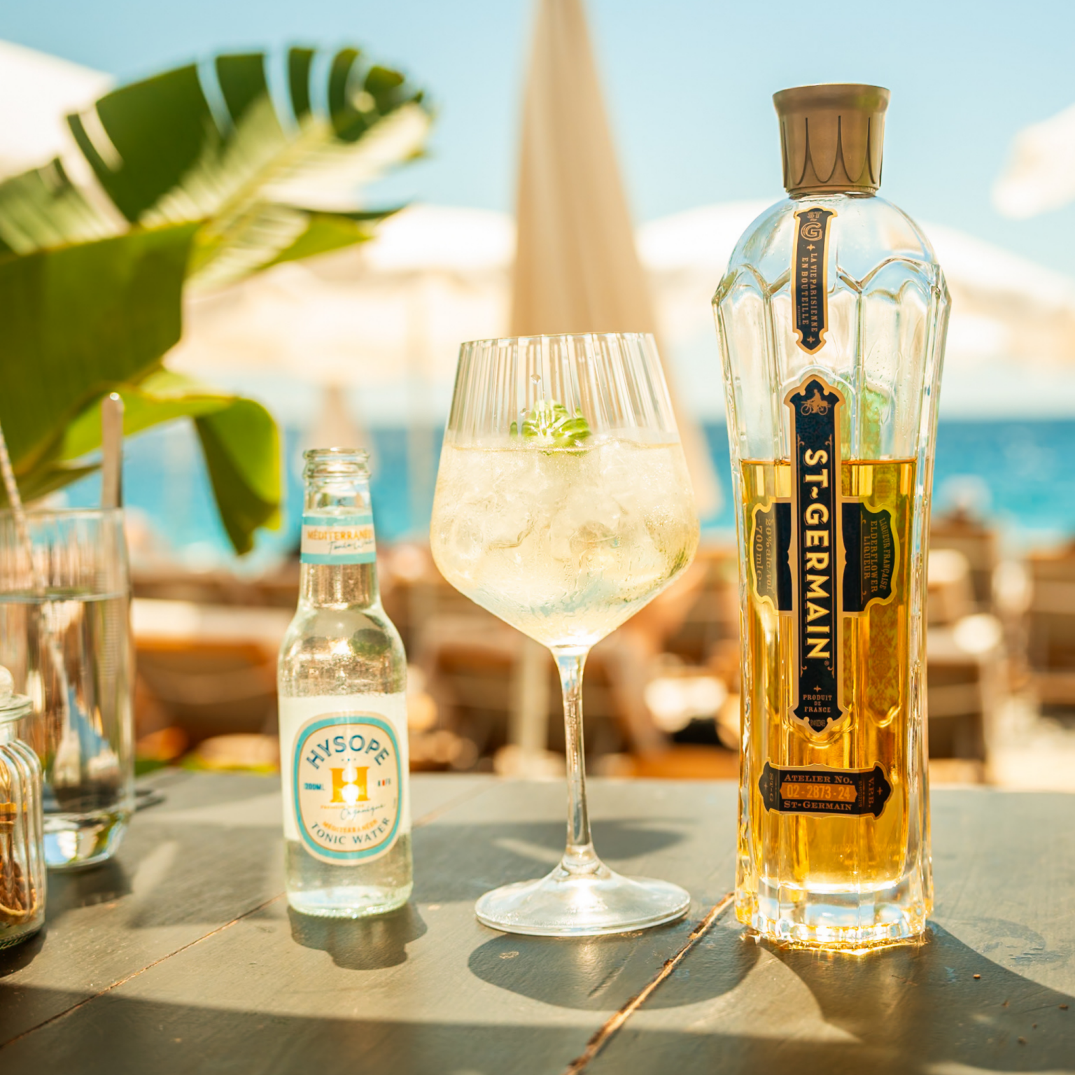 spritz recette hysope méditerranéen bio français