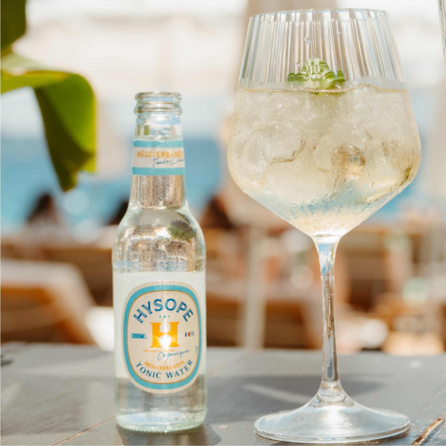 Spritz Méditerranéen Tonic Water Méditerranéen Hysope 2