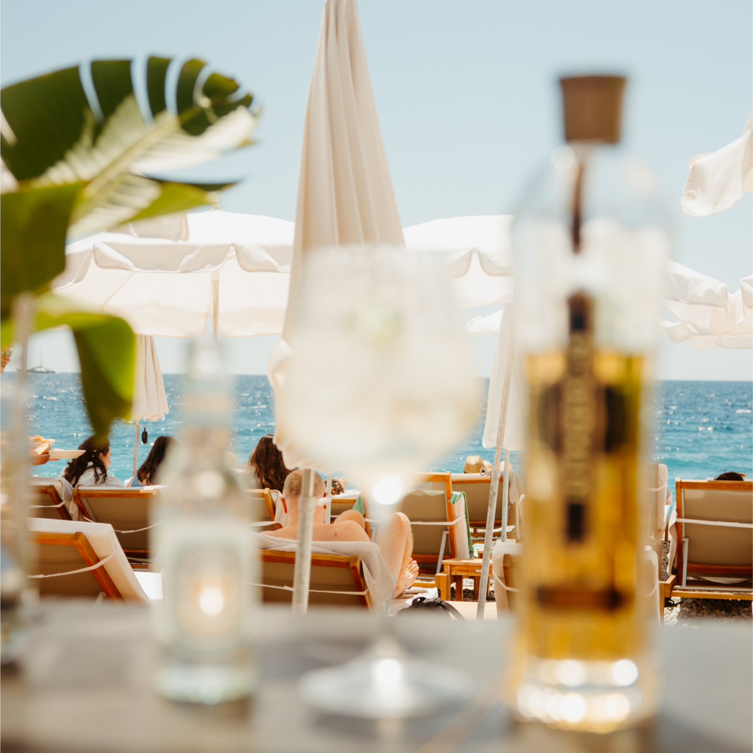 Spritz Méditerranéen Tonic Water Méditerranéen Hysope 1