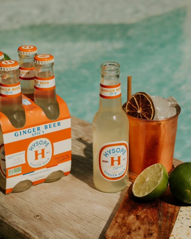 🌞 GINGER BY THE POOL 🌞

🍹 Un goût intense de gingembre (grâce à notre jus bio !)
🌶️ Un arôme naturel de piment pour une touche de caractère
🇫🇷 Fabriqué en France
🛒 En vente chez Monoprix et chez votre caviste 🍷

📸 @saltyprod

#GingerBeerSpicy #Cocktailathome #Bio #FabriquéEnFrance #Monoprix #Caviste 

--- 🇬🇧

🌞 GINGER BY THE POOL 🌞

🍹 An intense ginger flavor (thanks to our organic juice!) 
🌶️ A natural chili aroma for a touch of character 
🇫🇷 Made in France 
🛒 Available at Monoprix and your local wine shop 🍷

---
L’abus d’alcool est dangereux pour la santé. À consommer avec modération.